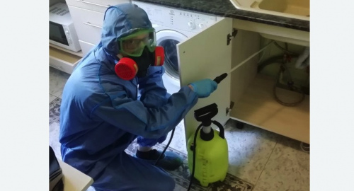 Уничтожение муравьев в квартире. Славск