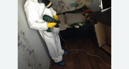 Обработка квартир от насекомых в Славске