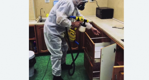 Дезинсекция квартиры. Славск
