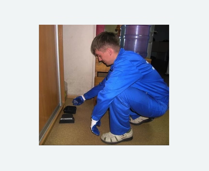 Дератизация крыс в Славске