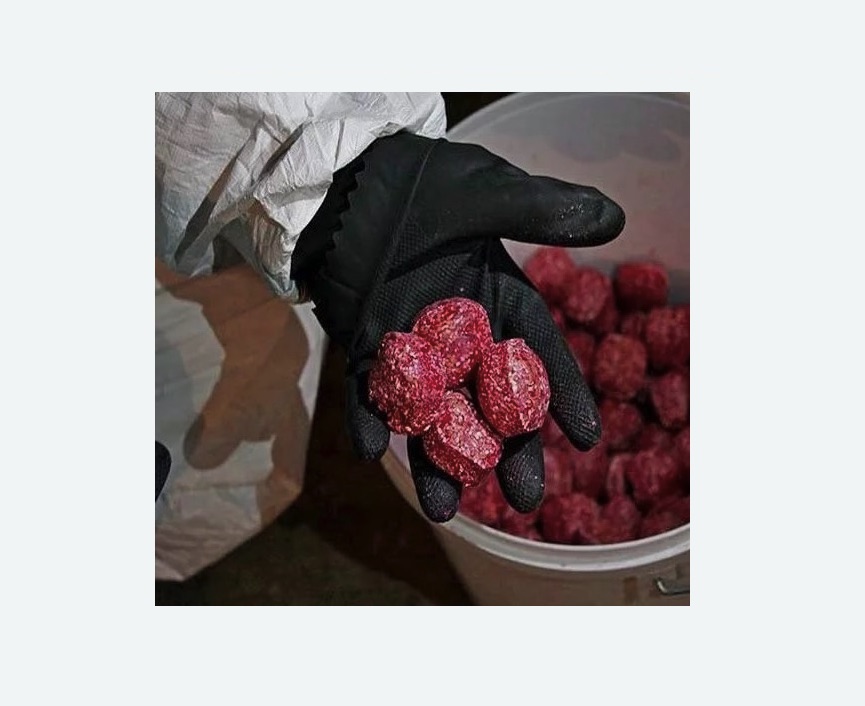 Обработка от крыс в Славске