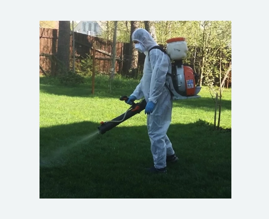 Обработка участка от клещей в Славске Обработка участка от клещей