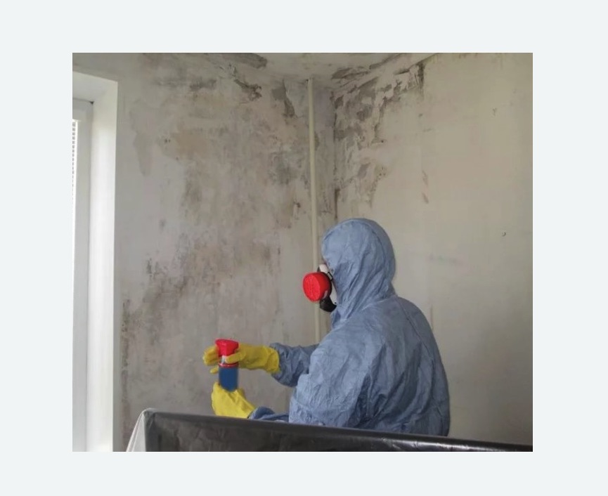 Удаление плесени в квартире в Славске