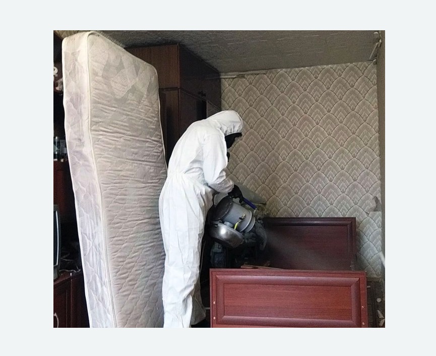 дезинфекция от клопов в Славске