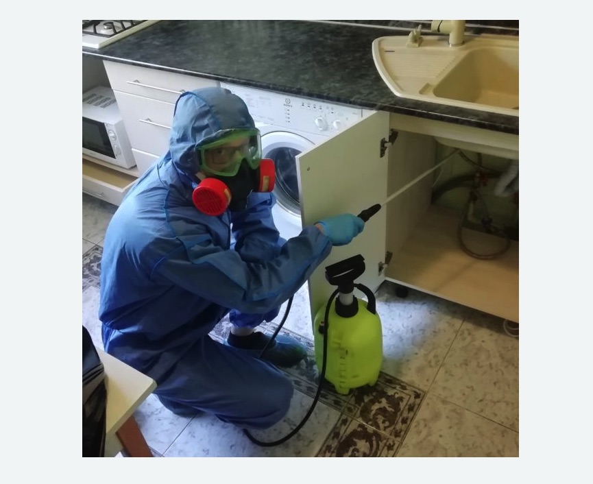 обработка от муравьев в квартире в Славске