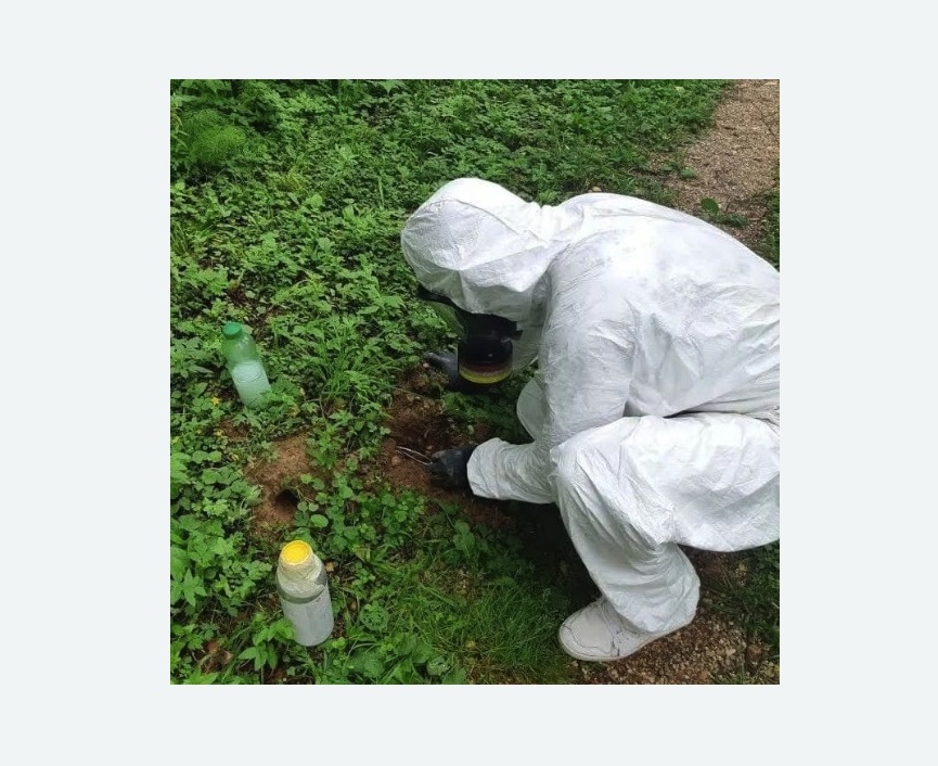 уничтожение кротов на участке в Славске