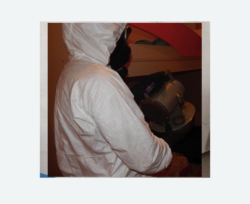 Дезинфекция от муравьев в Славске