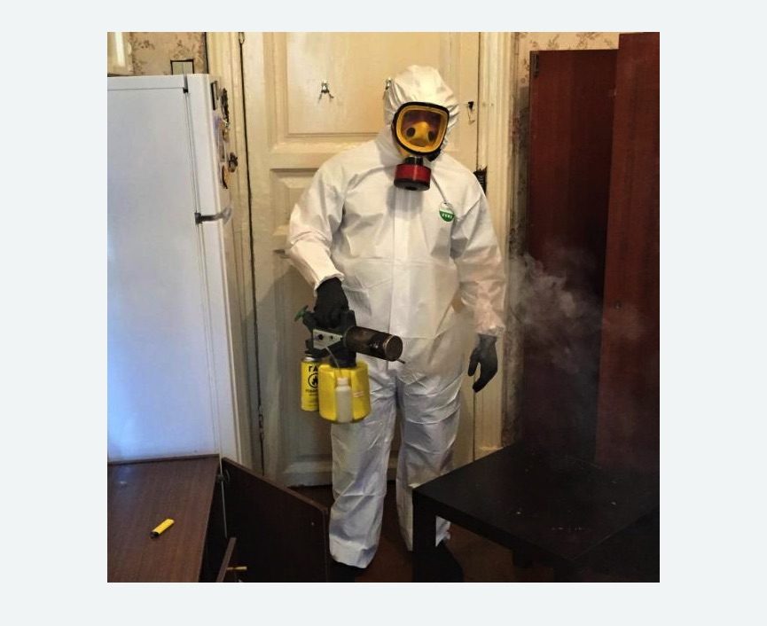 уничтожение муравьев в квартире в Славске